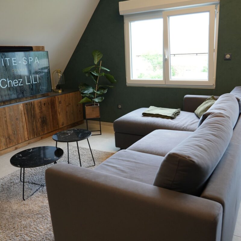 DSC00439 MIN 800X800 | Gîtes Spa Colmar Location d’appartements avec jacuzzi® pour un week-end à Colmar dans le Haut-Rhin Sélestat 1